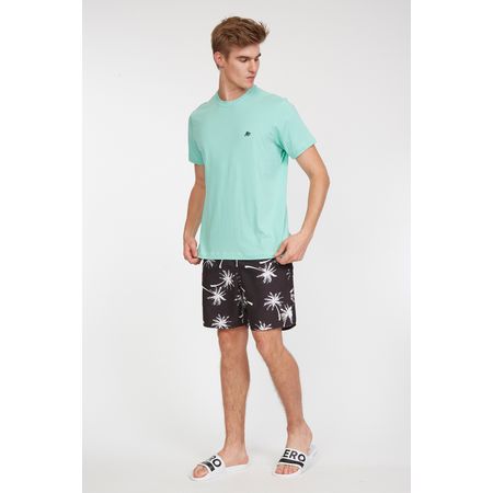 Camiseta-Manga-Curta-Masculino-Aeropostale_8770101-10_000038-1