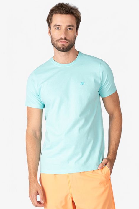 Camiseta-Manga-Curta-Masculino-A87-Aeropostale_87110101-6_000038-1