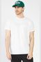 Camiseta-Manga-Curta-Masculino-Aeropostale_87120103-2_000200-1