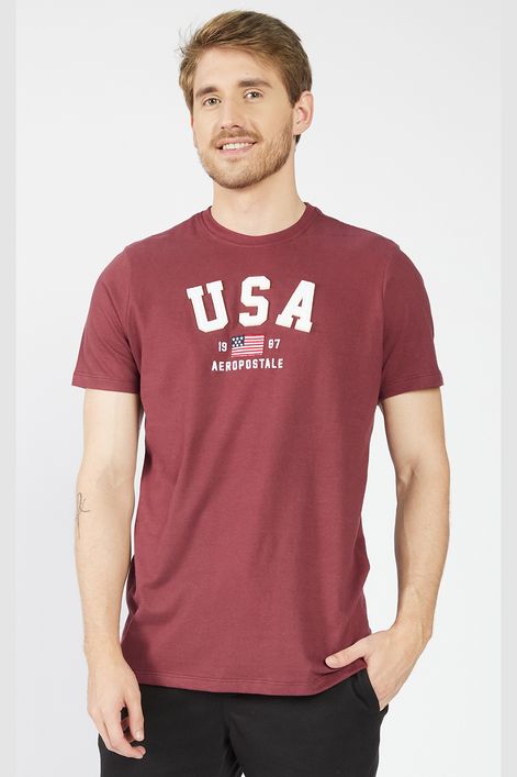 Camiseta-Manga-Curta-Masculino-Aeropostale_87120171_000034-1
