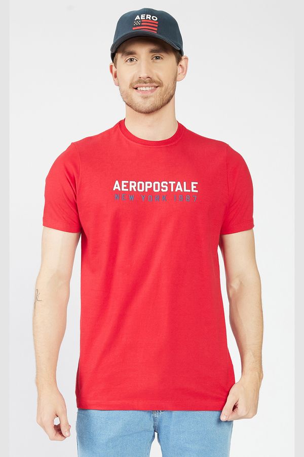 Camiseta-Manga-Curta-Masculino-Aeropostale_87120192_000018-1