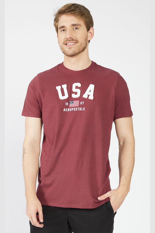 Camiseta-Manga-Curta-Masculino-Aeropostale_87120171_000034-1