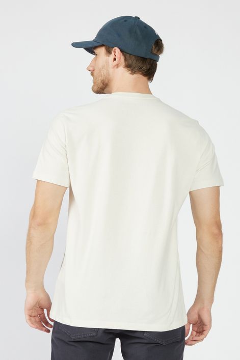 Camiseta-Manga-Curta-Masculino-Aeropostale_87120142-3_000078-2