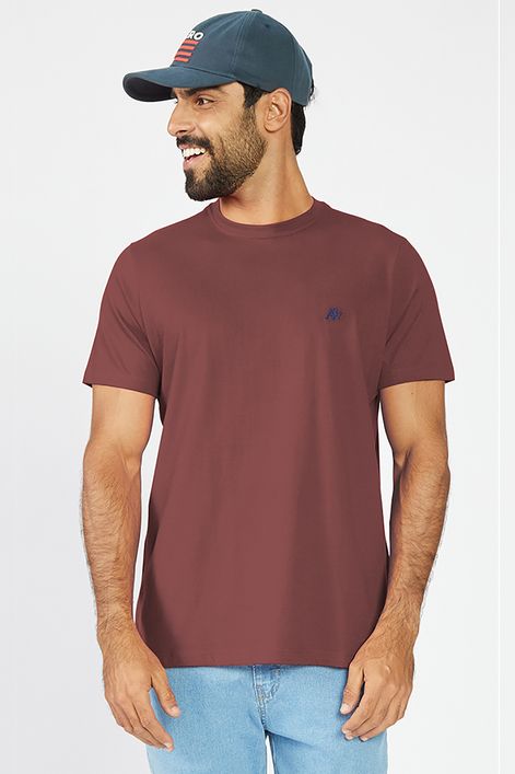 Camiseta-Manga-Curta-Masculino-A87-Aeropostale_87120101-22_000034-1