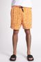Shorts-Agua-Aeropostale-Masculino_8792827_000243-3