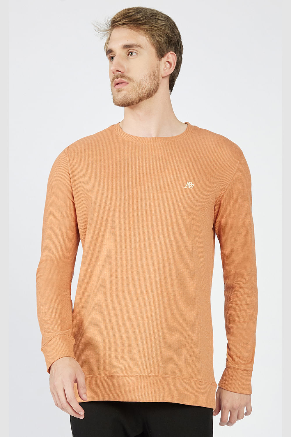 Camiseta-Manga-Longa-Masculino-Aeropostale_87120843_000087-1